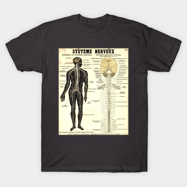 Vintage Poster of the Nervous System T-Shirt by CorrieMick